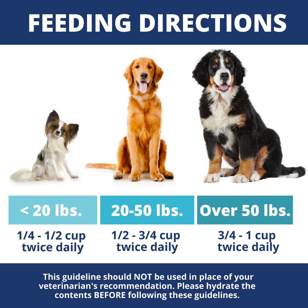 Under The Weather Chicken, Rice & Pumpkin Freeze-Dried Bland Diet for Dogs 6 oz