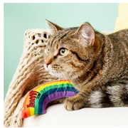 Yeowww Rainbow Catnip Pillow Cat Toy