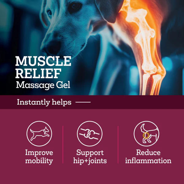 Vetality Muscle Relief Massage Gel for Dogs 3 oz