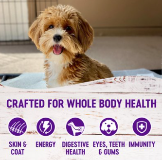 Wellness Complete Health Small Breed Age Advantage Dry Dog Food 4 lb