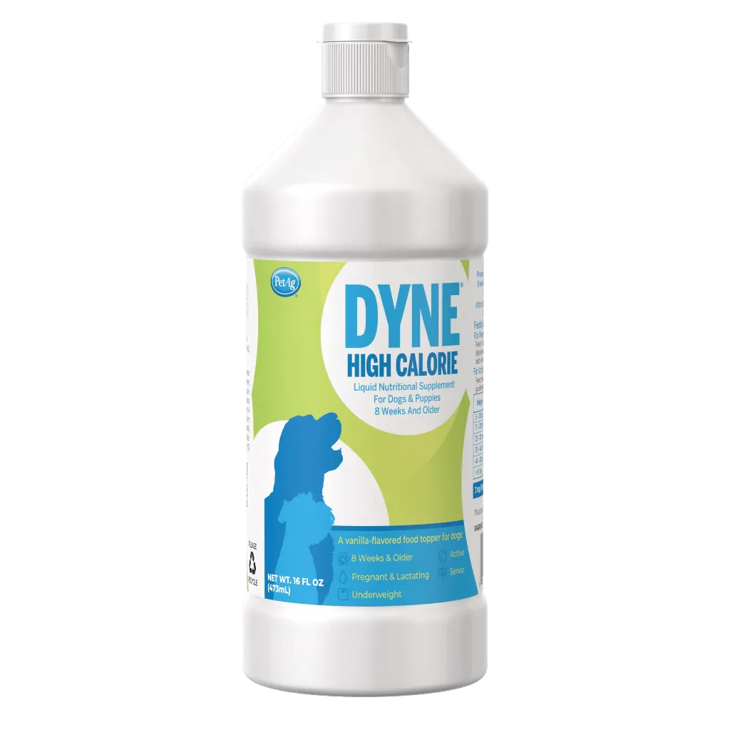 Petag DYNE High Calorie Liquid Nutritional Supplement for Dogs 16 oz