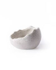 Galapagos Reptile Gear Ceramic Egg Reptile Dish