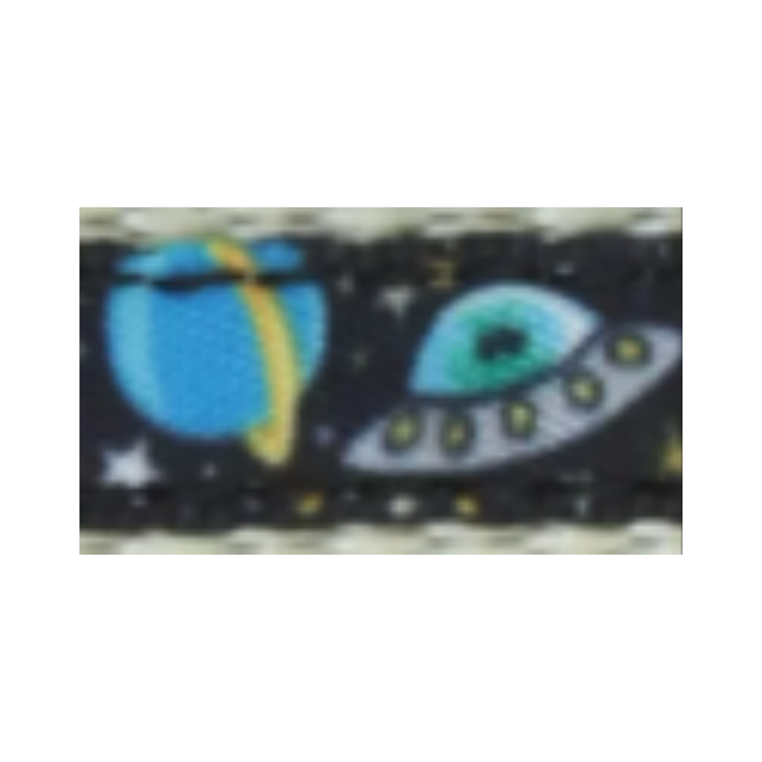Coastal Pet Products Li'l Pals Charming Ribbon Overlay Dog Leash-Li'l Space Explorers 3/8 in x 6 ft