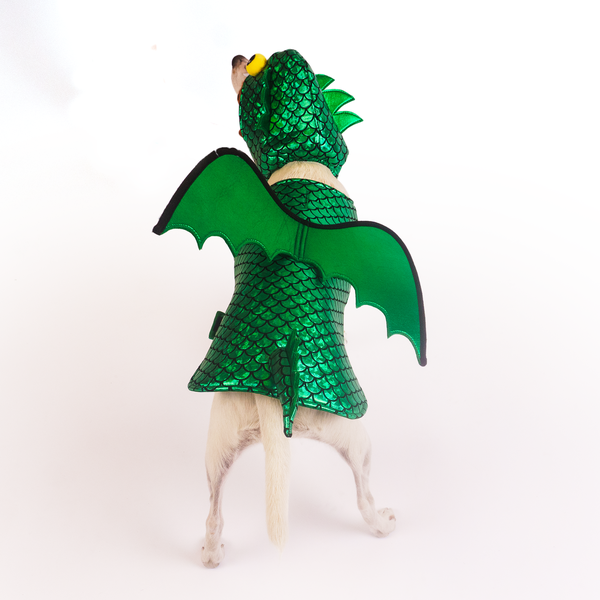 Silverpaw Halloween Dragon Pet Costume
