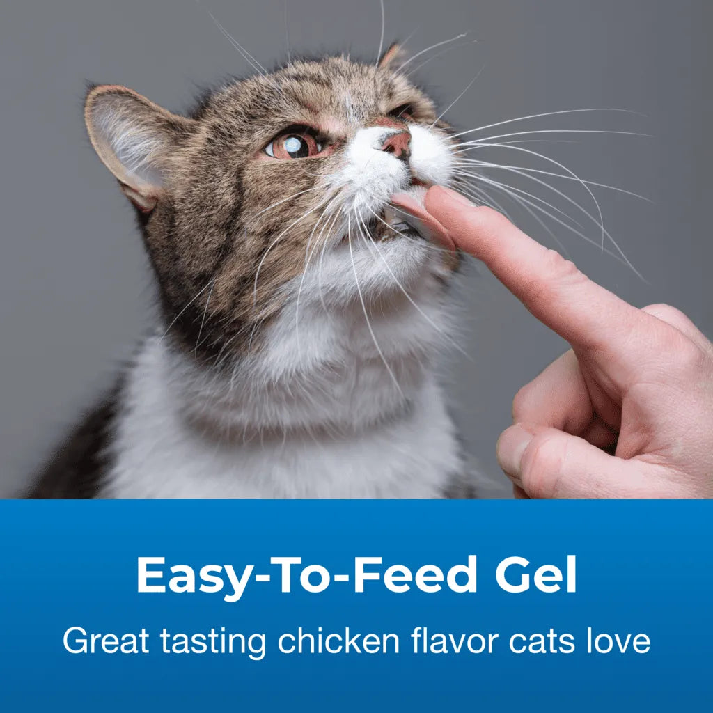 Petag Hairball Natural Solution Gel Supplement for Cats