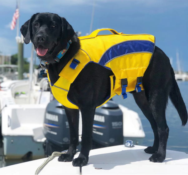 Baydog Monterey Bay Dog Life Jacket