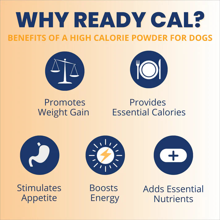Under The Weather Ready Cal High Calorie Powder for Dogs 10.58 oz