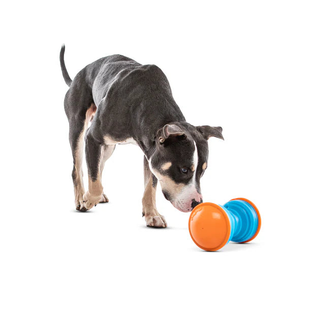 Guru Bouncer Treat Dispensing Dog Toy