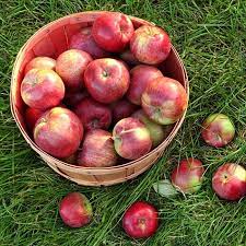 Marshall Peter's Nature Treats Whole Apple 2 pk