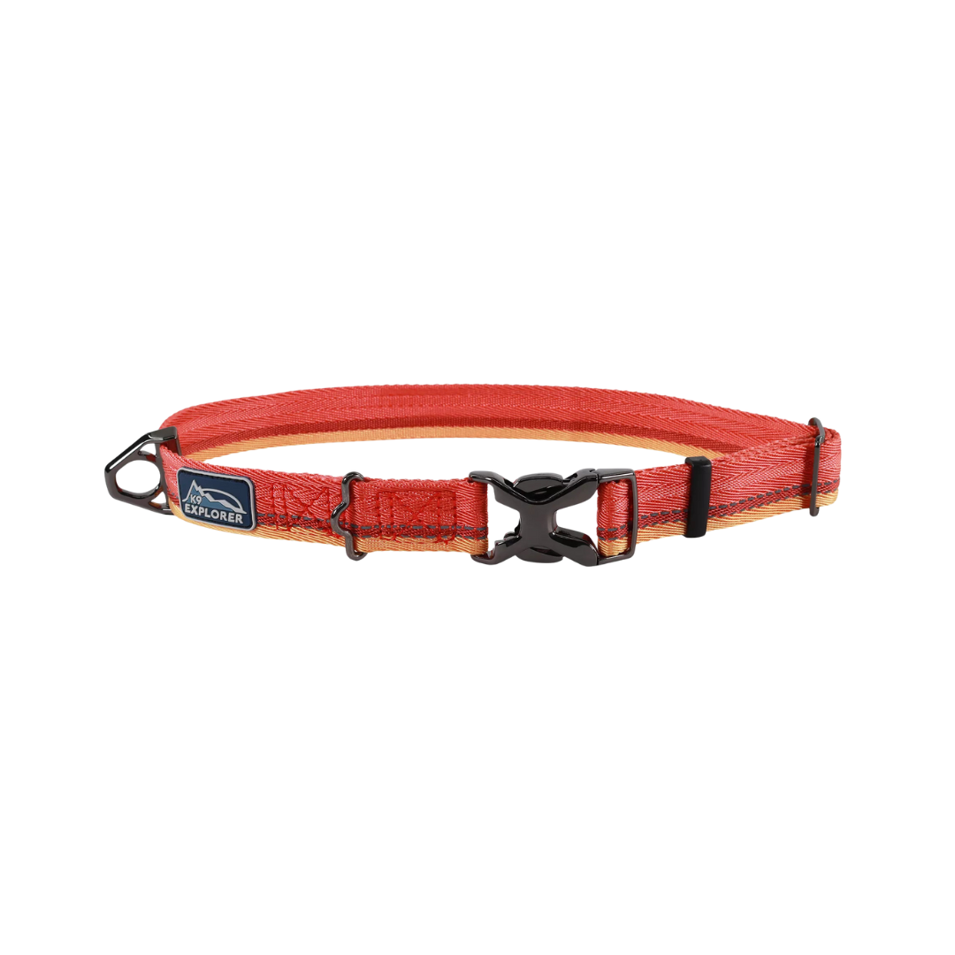 Coastal Pet Products K9 Explorer Trek Adjustable Dog Collar- Sahara