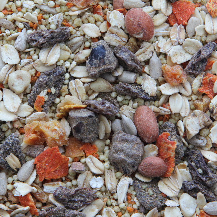 Higgins Worldly Cuisines Gourmet Spice Market Gourmet Bird Food Appetizer 2 oz