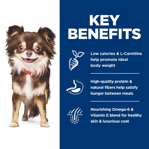 Hill's Science Diet Adult Sensitive Stomach & Skin Small & Mini Breed Chicken Recipe Dry Dog Food