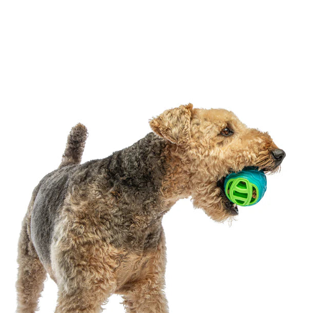 Guru Pocket Ball Dog Toy & Chew Stick Holder