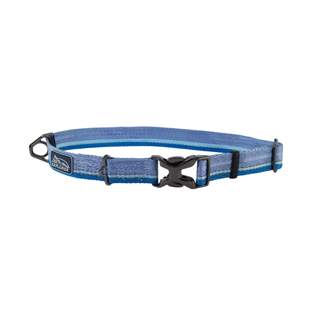 Coastal Pet Products K9 Explorer Trek Adjustable Dog Collar- Glacier