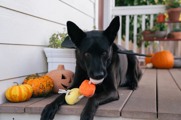 P.l.a.y. Halloween Howling Haunts Canine Corn Plush Dog Toy
