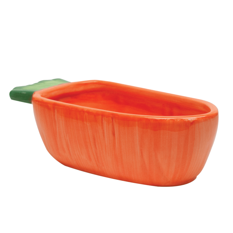 Kaytee Vege-T-Bowl Carrot Shaped Bowl For Small Animals 7.5 in