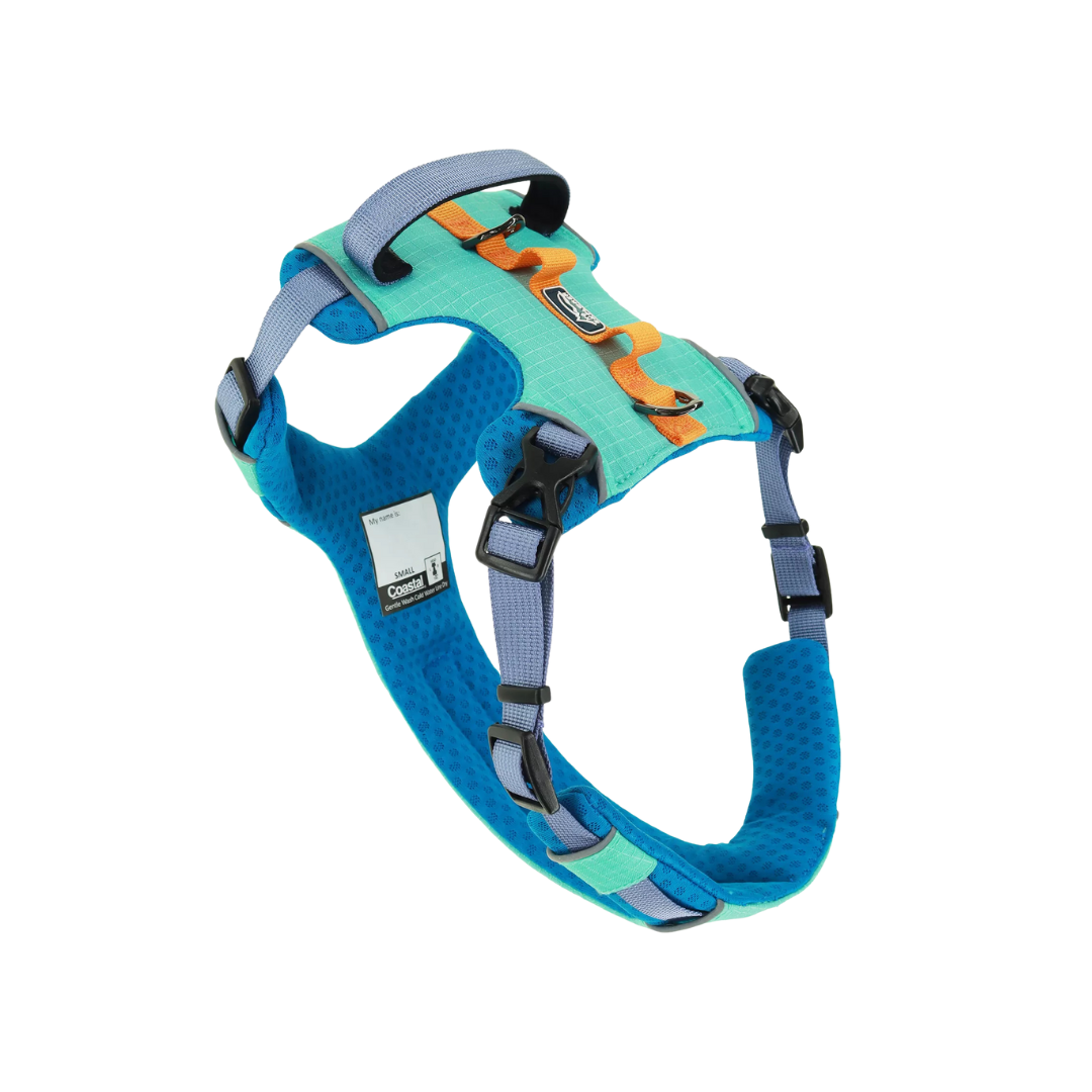 Coastal Pet Products K9 Explorer Trek Full-Coverage Dog Harness- Atlantic