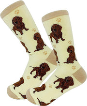 E & S Imports Pet Lover Socks Red Dachshund Dog, Unisex, One Size Fits Most