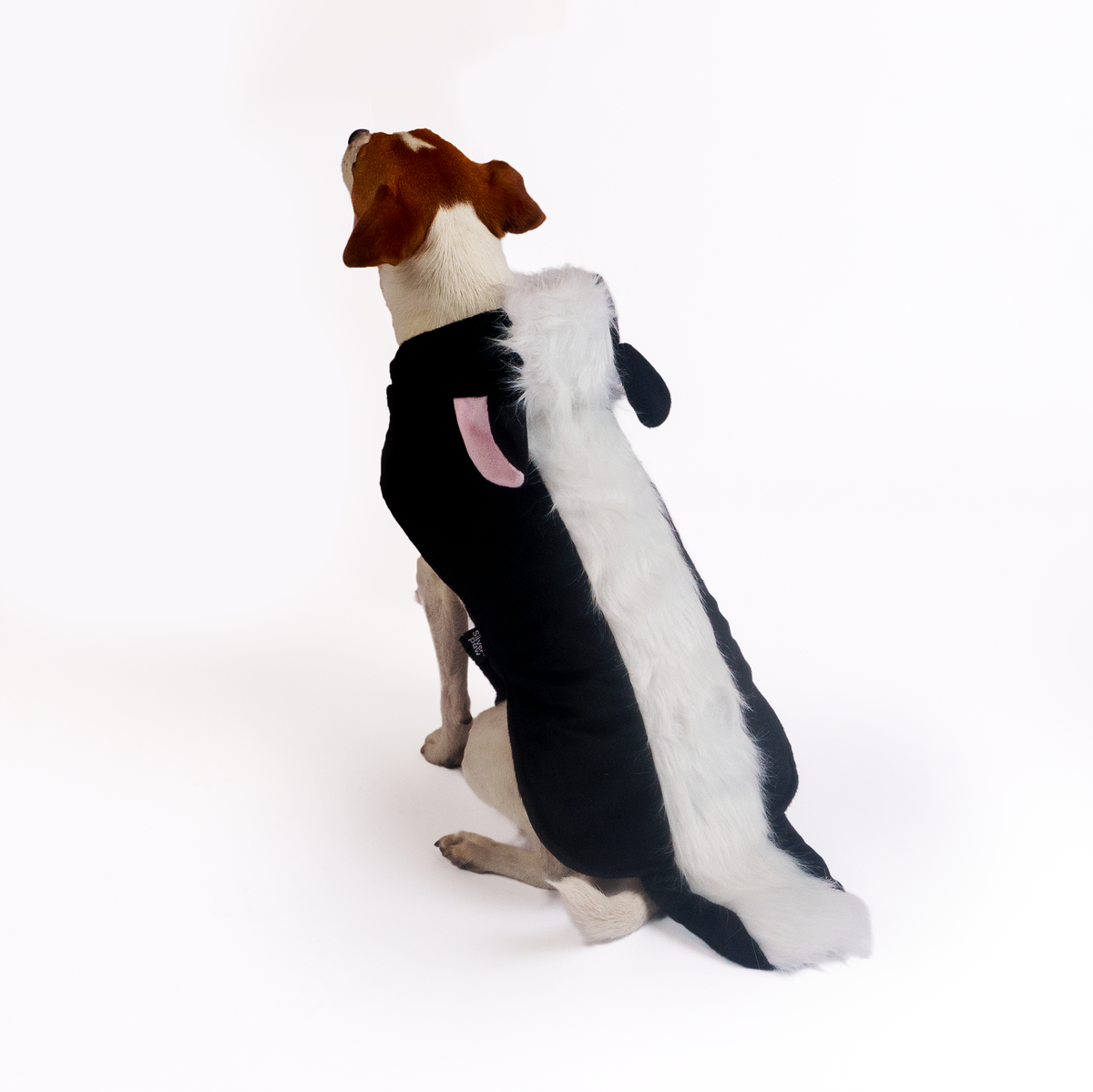 Silverpaw Halloween Skunk Pet Costume