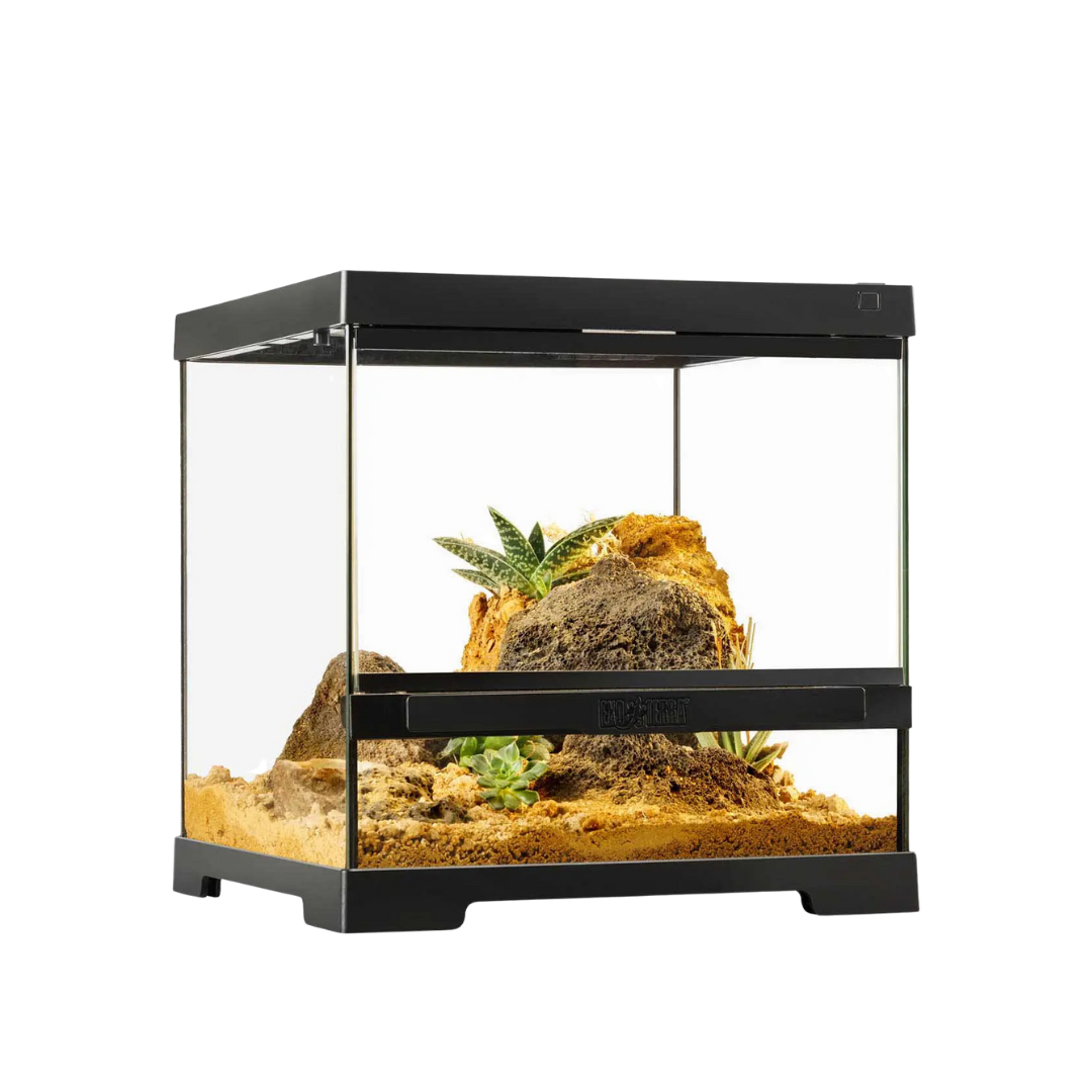 Exo Terra Pro Terrarium X-Small Wide Advanced Natural Terrarium 12 x 12 x 12 in