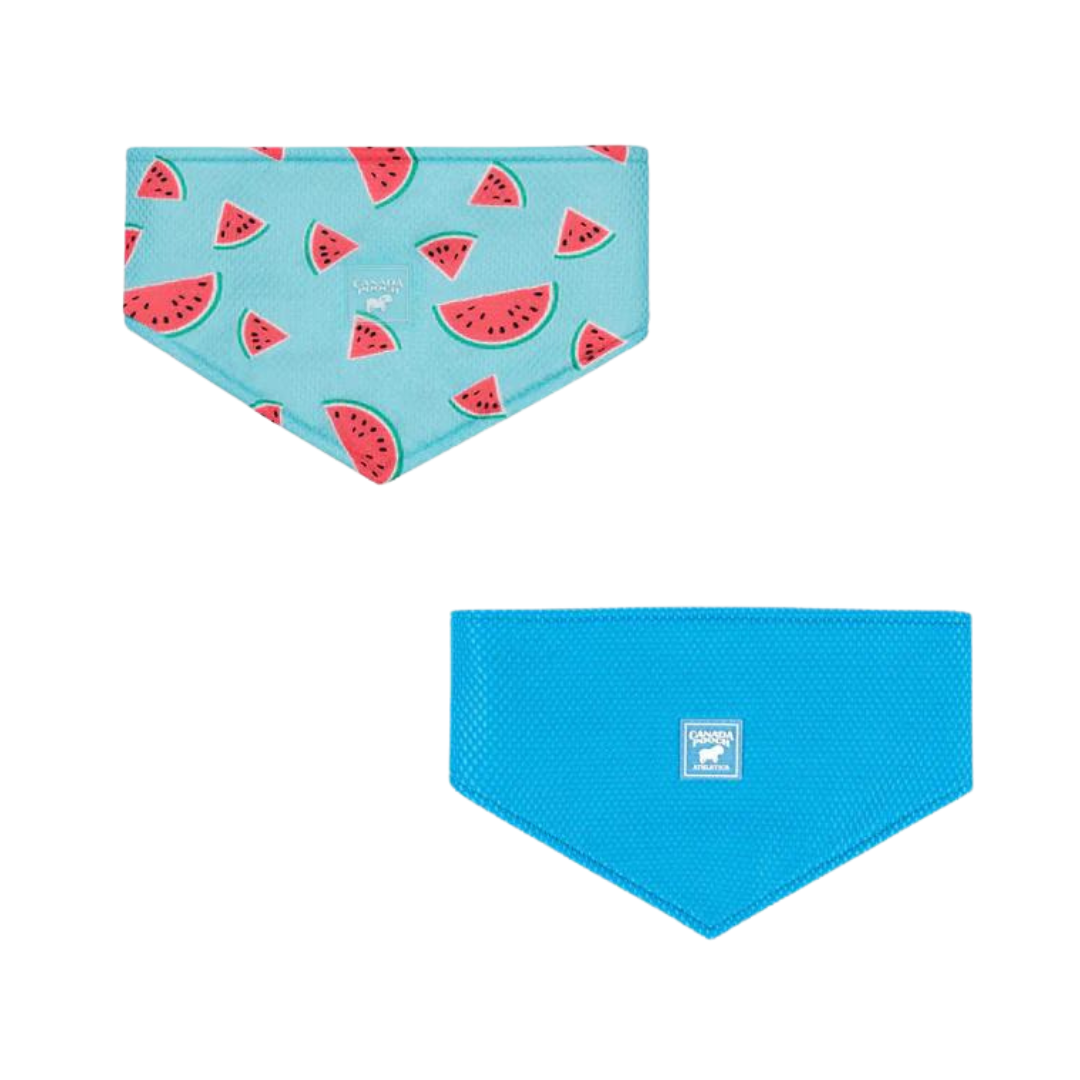 Canada Pooch Chill Seeker Cooling Pet Bandana