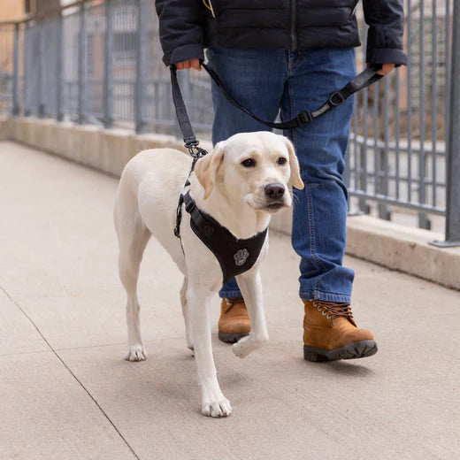 Canada Pooch Easy-On Step-In Dog Harness