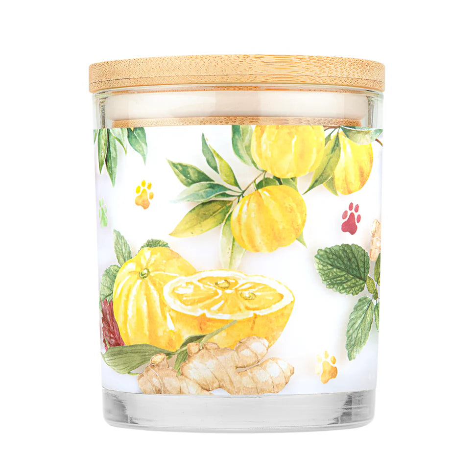 Pet House Yuzu Ginger Candle 9 oz