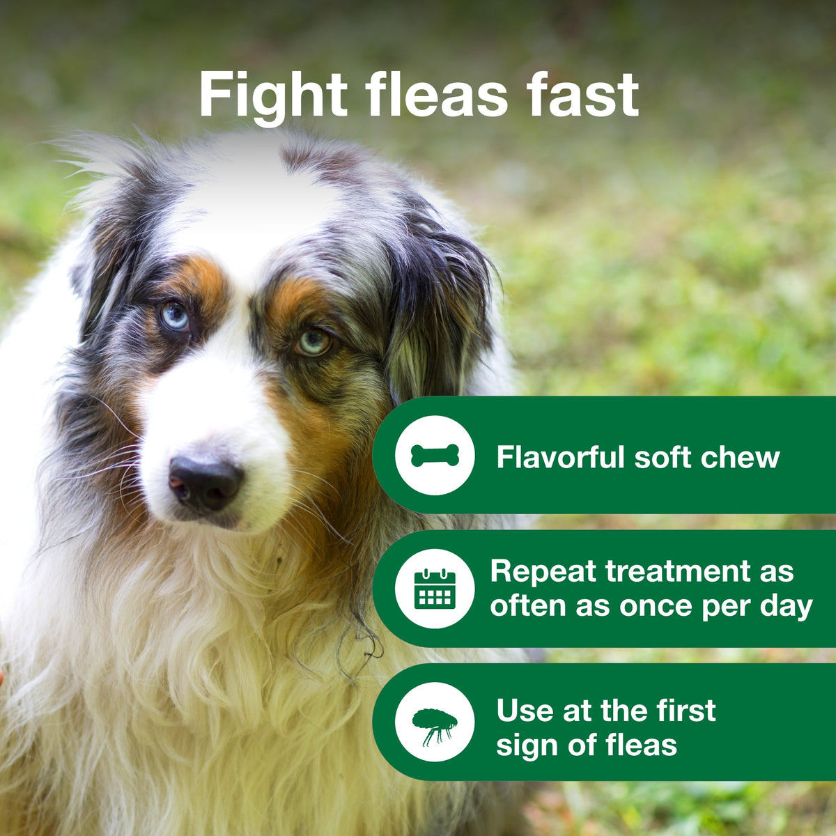 Advantus Oral Flea Treatment Soft Chews For Dogs