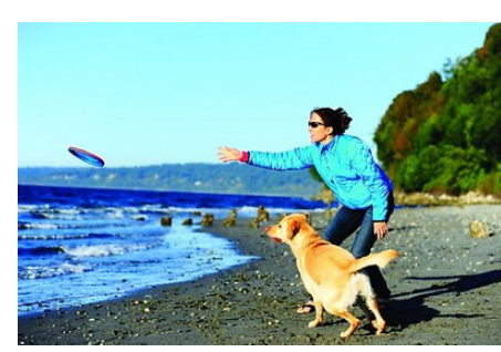 Chuckit Paraflight Dog Toy L