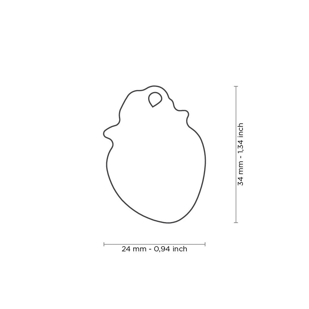 Myfamily Food Strawberry Pet Identification Tag