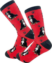 E & S Imports Pet Lover Socks Bernese Mountain Dog, Unisex, One Size Fits Most