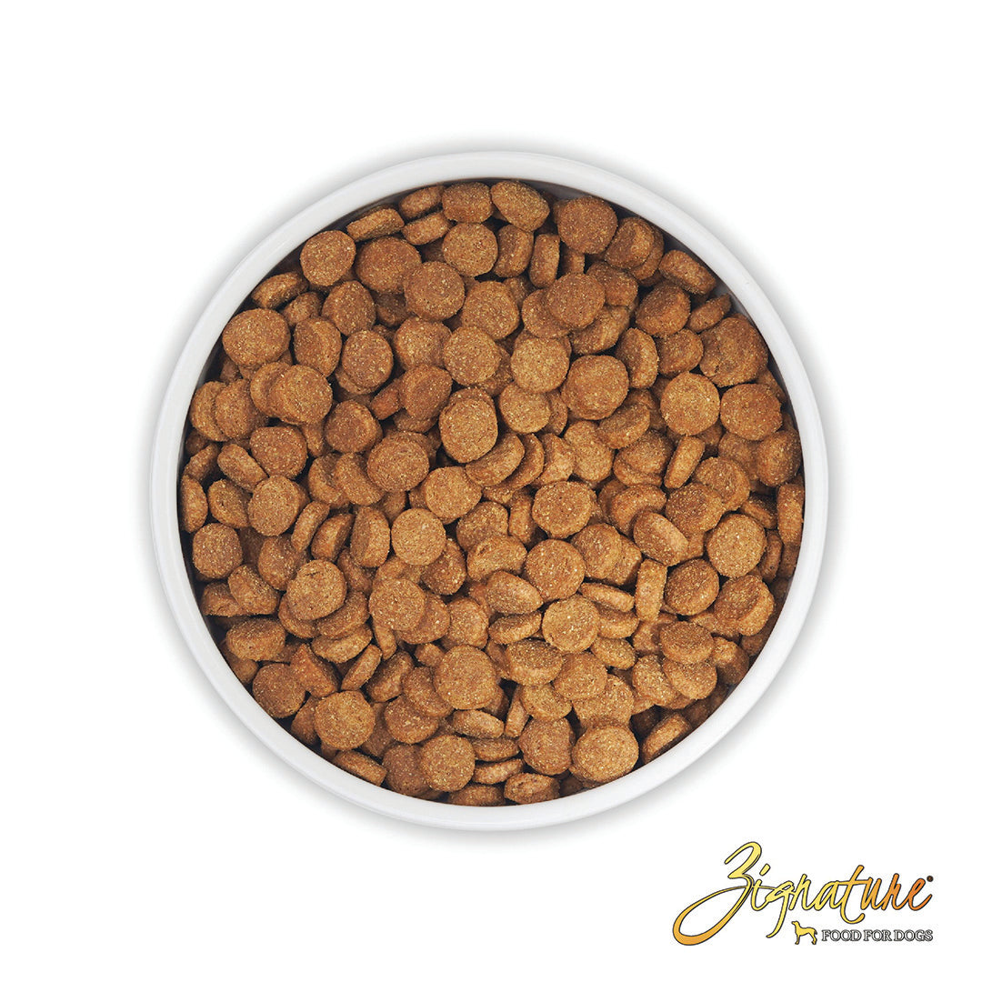 Zignature Kangaroo Limited Ingredient Formula Grain-Free Dry Dog Food