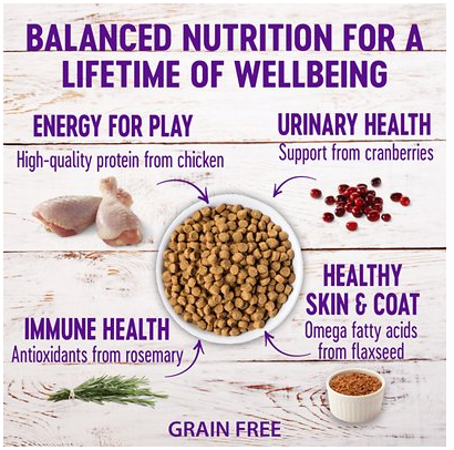 Wellness Complete Health Grain-Free Chicken Recipe Dry Kitten Food 5.5 lb