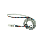 Coastal Pet Products Li'l Pals Charming Ribbon Overlay Dog Leash-Li'l Space Explorers 3/8 in x 6 ft