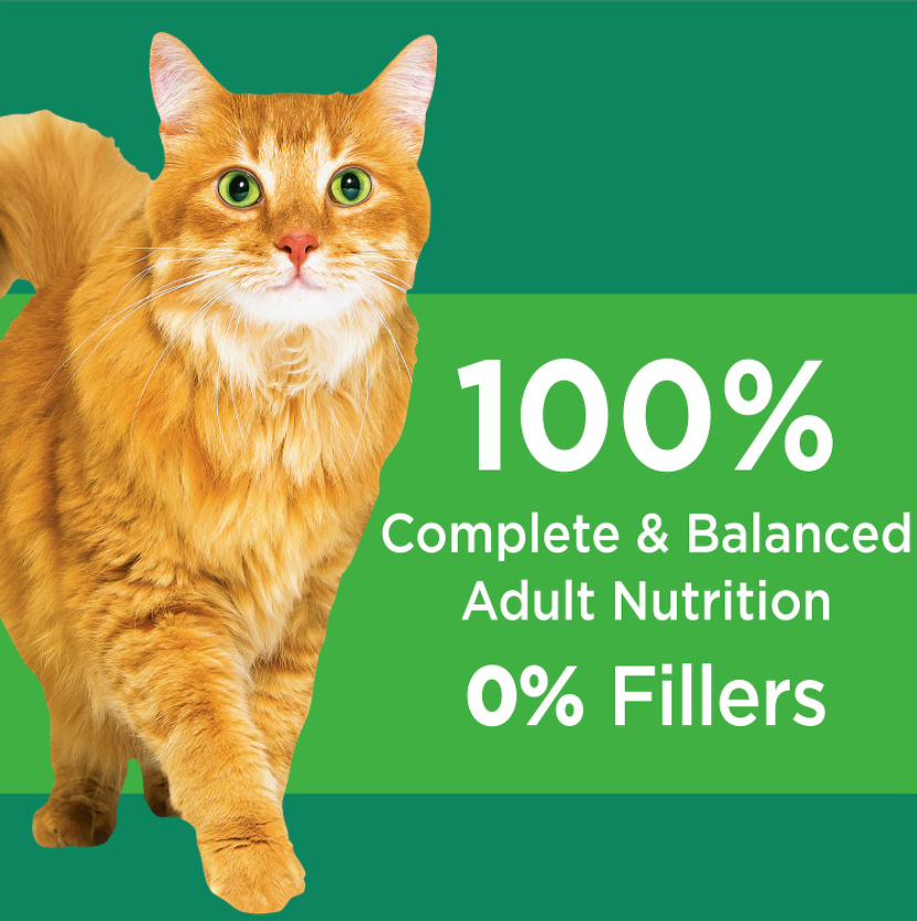Iams Proactive Health Healthy Senior Dry Cat Food 7 lb