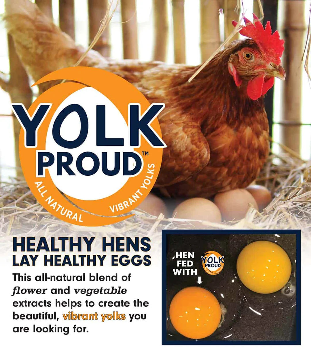 Kalmbach Feeds Organic 17% Layer Crumbles Chicken Feed 35 lb