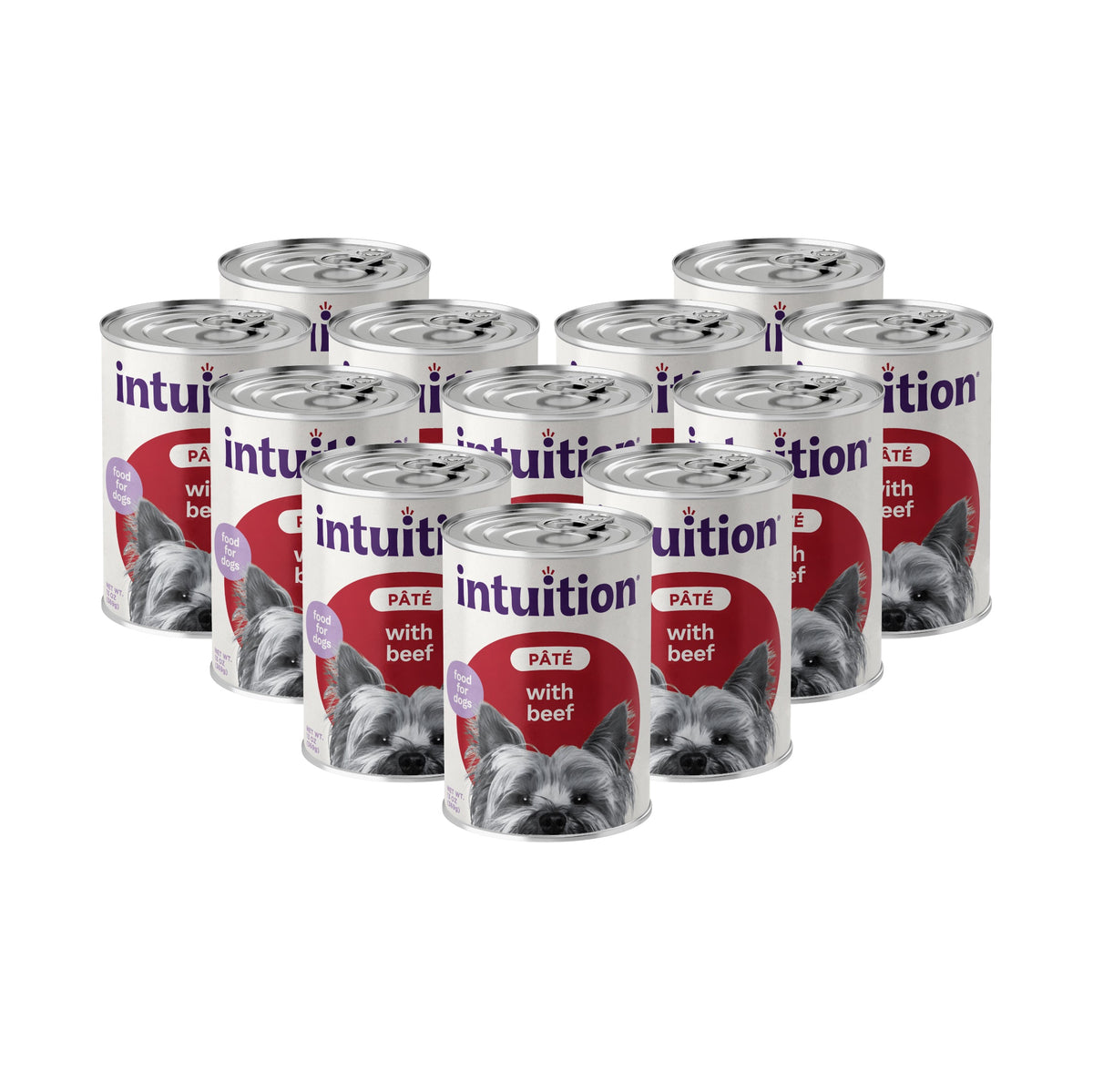 Intuition Pate with Beef Canned Dog Food