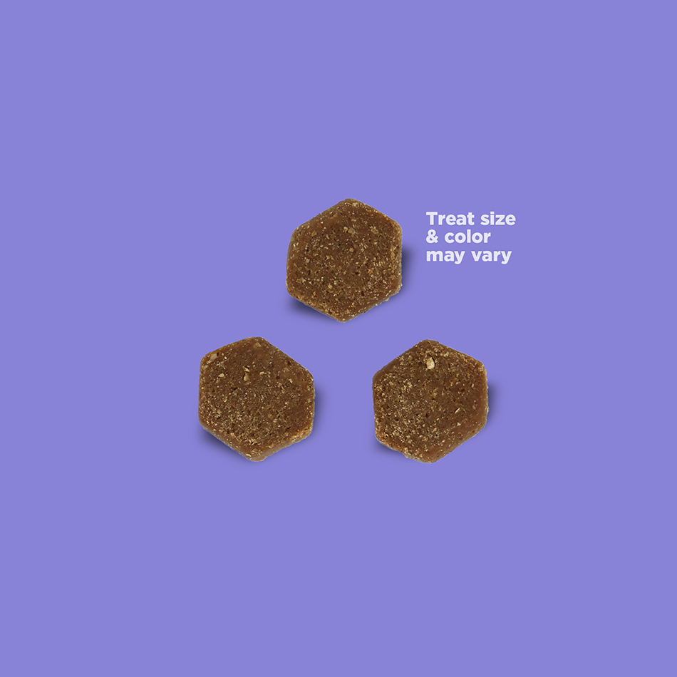 Nutrisource Salmon Little Bites Dog Training Treats 6 oz