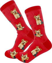 E & S Imports Pet Lover Socks Yorkie Dog, Unisex, One Size Fits Most