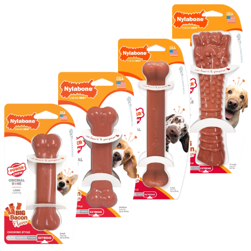 Nylabone Power Chew Bacon Bone Dog Chew Toy