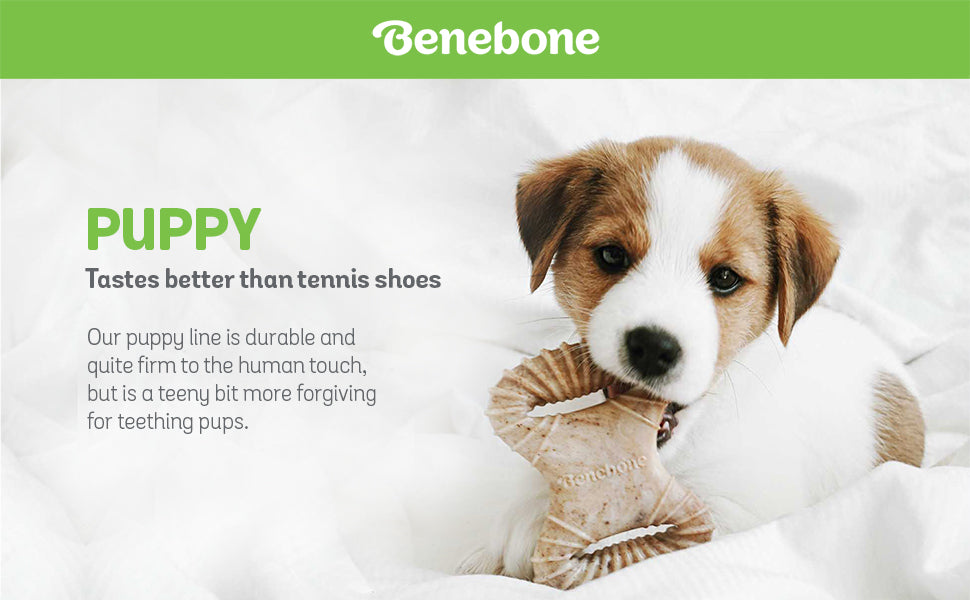 Benebone Bacon Flavor Durable Tiny Puppy Dog Chew Toys 2 pk