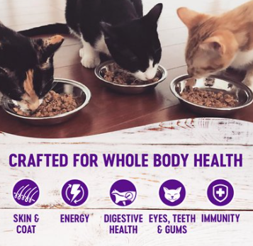 Wellness Complete Health Kitten Chicken Pate Grain-Free Canned Cat Food