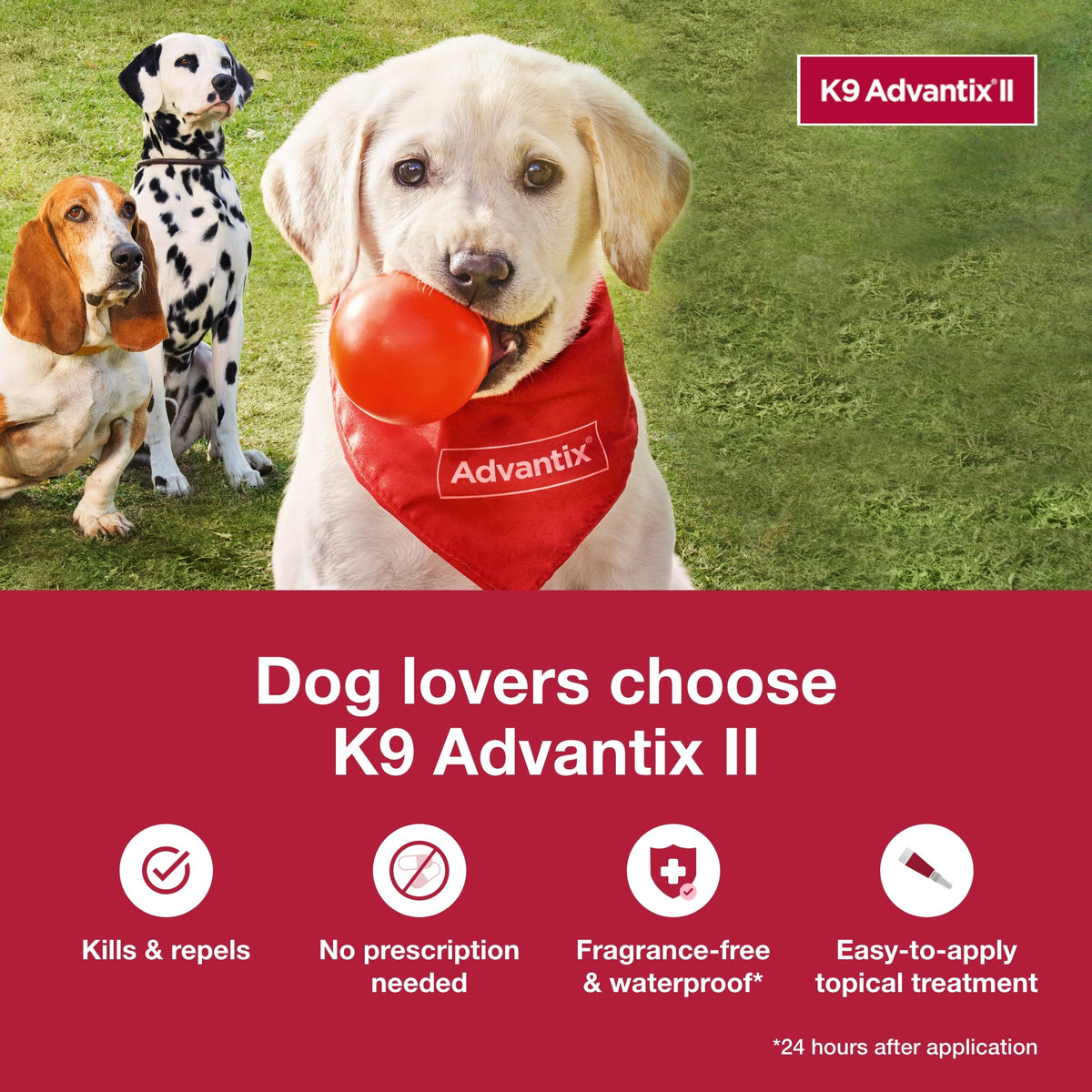 K9 Advantix II Topical Flea & Tick Treatment for Dogs 21-55 lbs