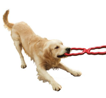 Kong Tug Dog Toy With Grips