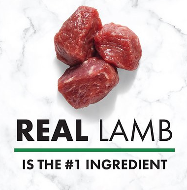 Nutro Lamb & Rice Small Bites Adult Dry Dog Food