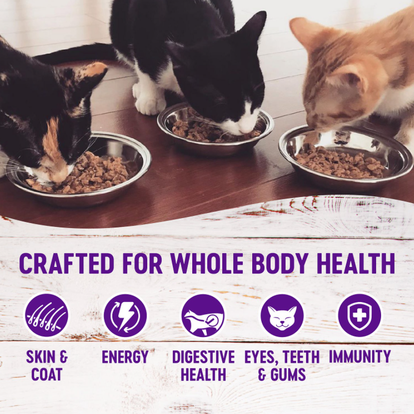 Wellness Complete Health Natural Chicken Pate Grain-Free Canned Cat Food