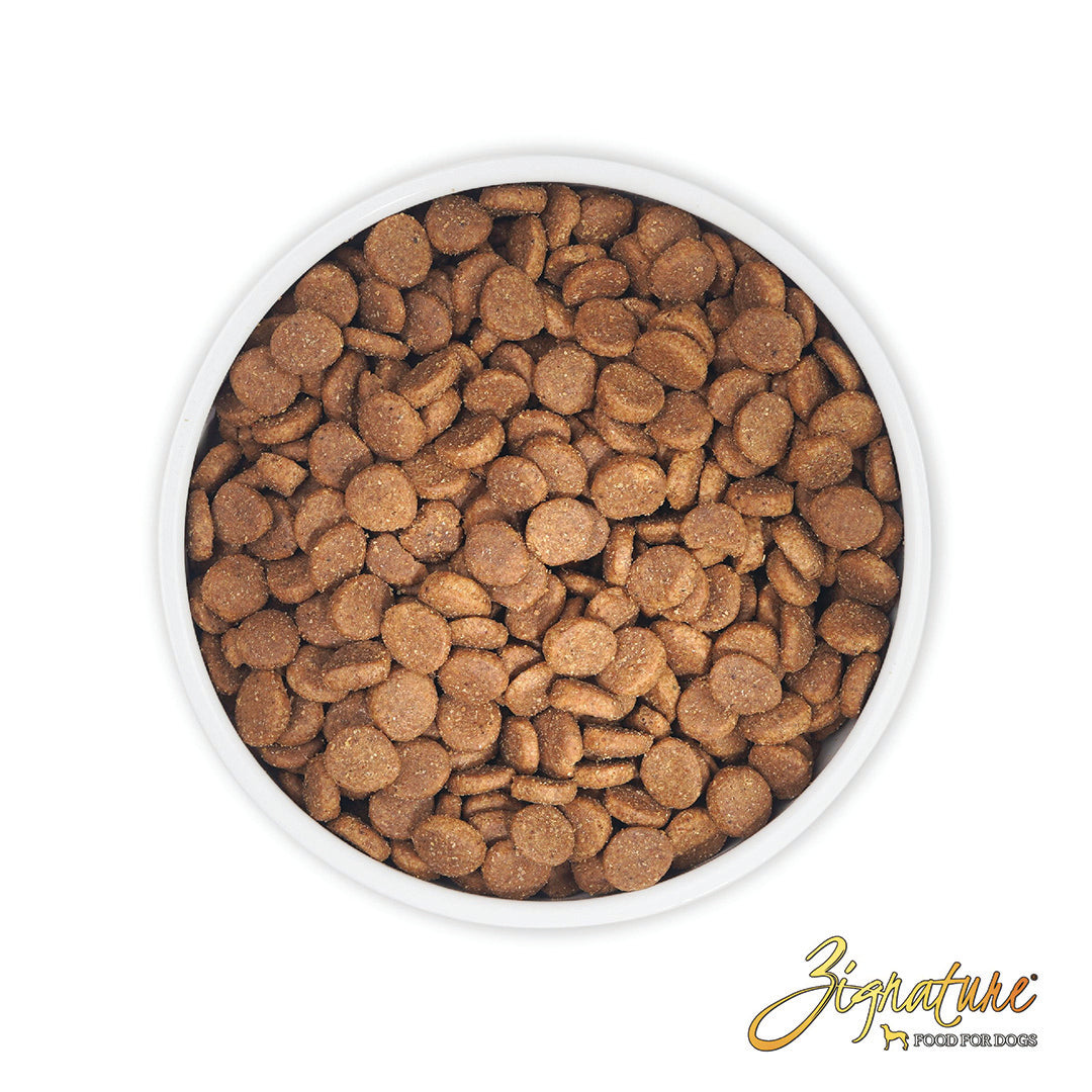 Zignature Turkey Limited Ingredient Formula Grain-Free Dry Dog Food