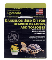 Komodo Bearded Dragon & Tortoise Dandelion Seed Kit