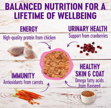 Wellness Complete Health Kitten Chicken Pate Grain-Free Canned Cat Food