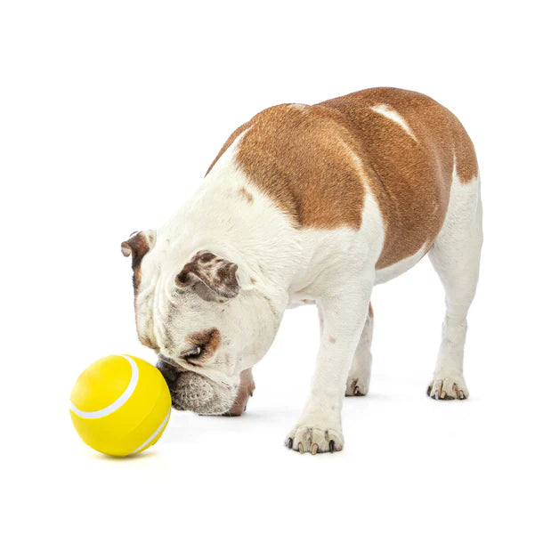 Guru Giggling Tennis Ball Interactive Dog Toy
